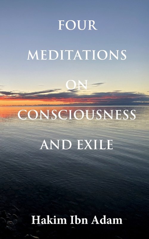 Four Meditations on Consciousness and Exile