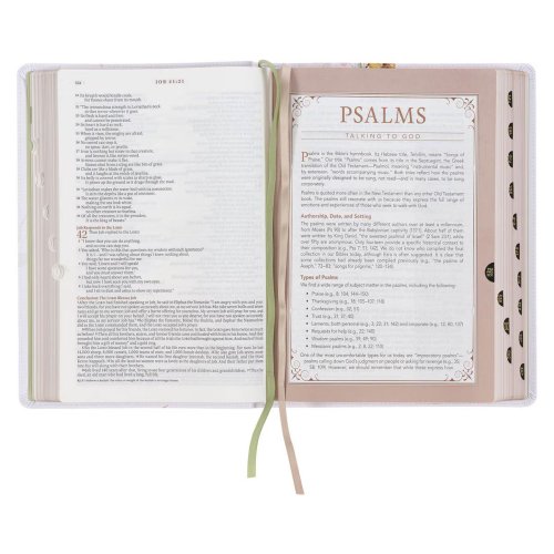 NLT, The Spiritual Growth Bible Faux Leather, Cream Floral Printed