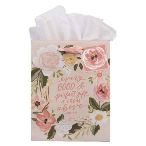 Gift Bag MD Every Good & Perfect Gift James 1:17