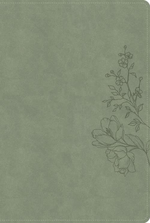 CSB Large Print Thinline Bible, Digital Study Edition, Sage