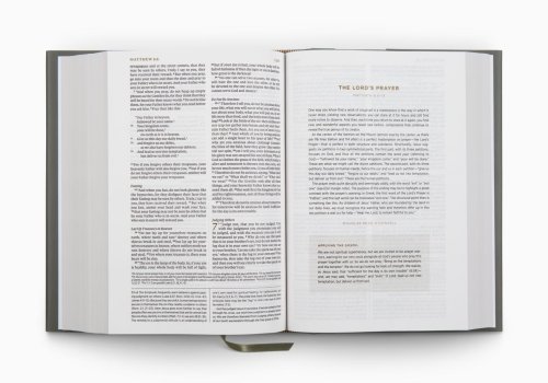 ESV Applying the Gospel Study Bible for Men (Hardcover)