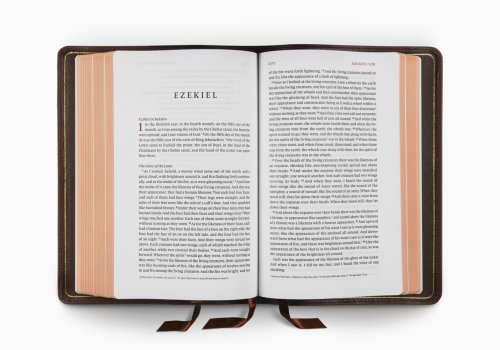 ESV Heirloom Bible, Veritas: Single Column Edition (Calfskin, Grenada)
