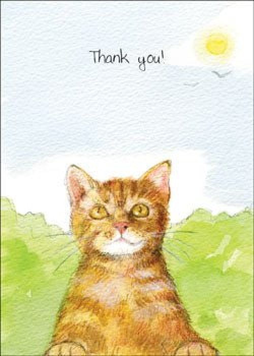 Thank You! ****