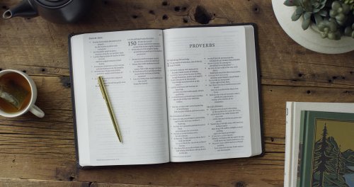 ESV Giant Print Value Thinline Bible (TruTone, Black)