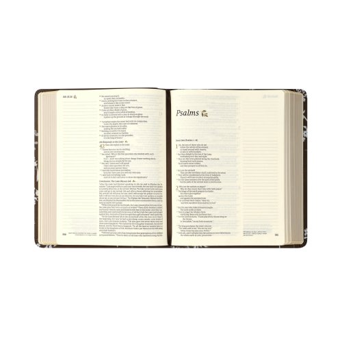 NLT Notetaking Bible: Lijiang Theme