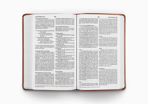 ESV Large Print Value Thinline Bible (TruTone, Camel)