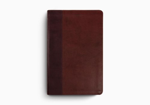 ESV Large Print Thinline Bible, Red Letter (TruTone, Burgundy/Red, Timeless Design)