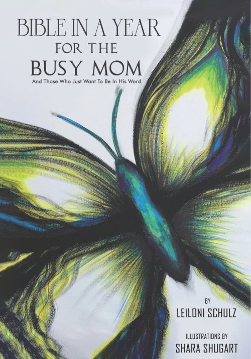 Bible In A Year For The Busy Mom