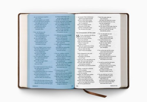 ESV Holy Bible: Dyslexia-Friendly Edition