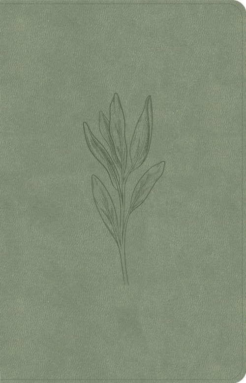 KJV Thinline Bible, Sage Suedesoft Leathertouch