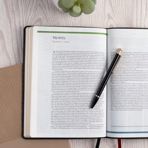 CSB Connecting Scripture New Testament, Black Genuine Leather