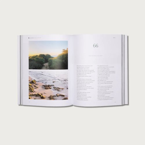 The Mini Psalms (NLT)