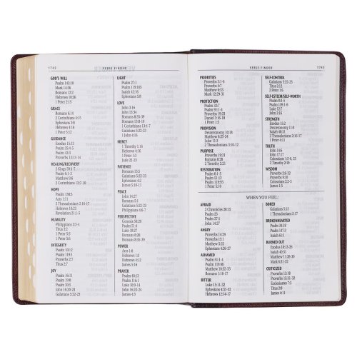 KJV Bible Giant Print Standard-size Full-grain Leather, Burgundy/Mahogany