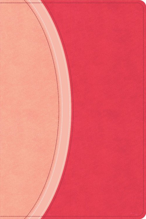 CSB Rainbow Study Bible, Pink Leathertouch (Limited Edition)