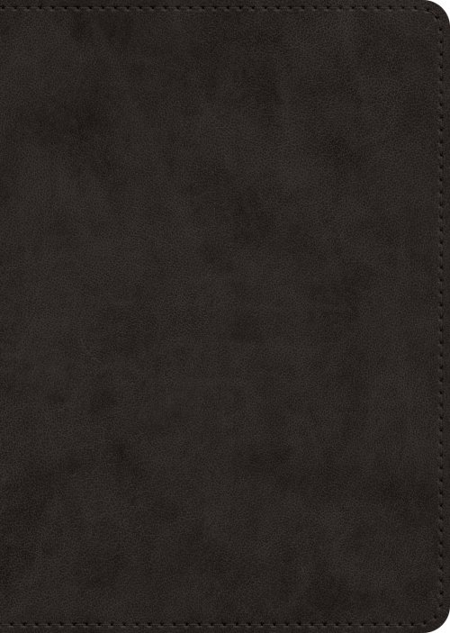 ESV New Testament, Large Print (TruTone, Black)