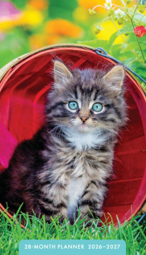 Kittens 28 Month Planner