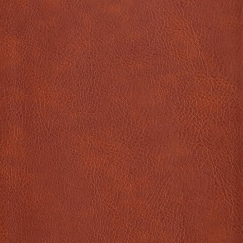 CSB Study Bible, Personal Size, Digital Study Edition, Burnt Sienna LeatherTouch