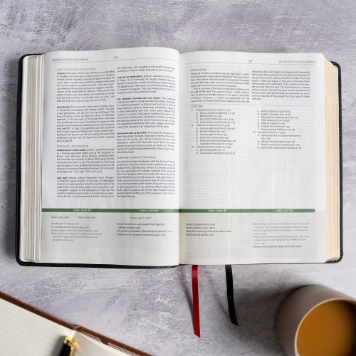 NASB Study Bible, Black Genuine Leather