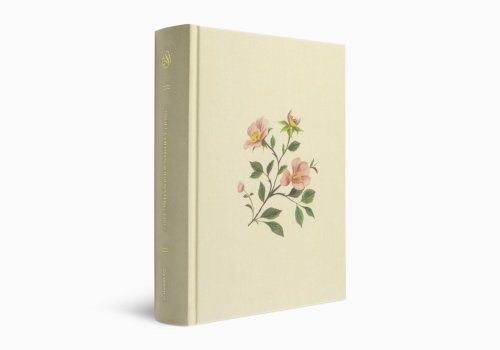 ESV Single Column Journaling Bible (Cloth over Board, Rosehip Design)