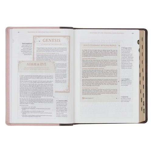 NLT, The Spiritual Growth Bible Faux Leather, Two-tone Pink and Brown
