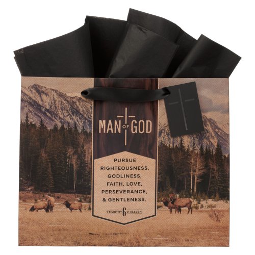 Gift Bag LG Landscape Man of God 1 Tim. 6:11