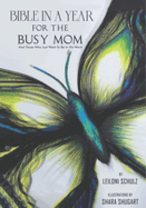 Bible In A Year For The Busy Mom