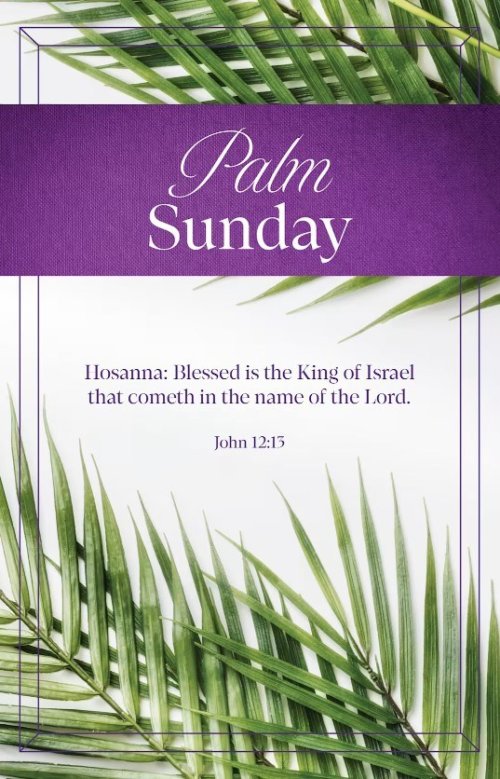 Palm Sunday Bulletin: Took Branches (Package of 100)