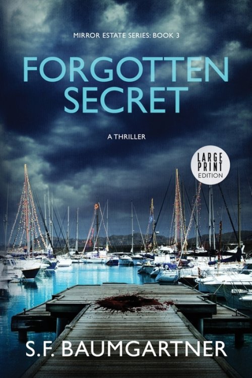 Forgotten Secret (Large Print): A Psychological Suspense Thriller