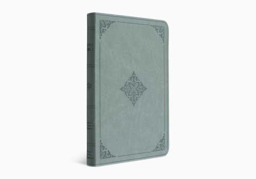 ESV Value Thinline Bible (TruTone, Paris Sky, Fleur-de-lis Design)