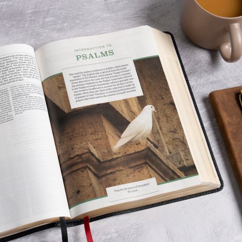 NASB Study Bible, Black Genuine Leather