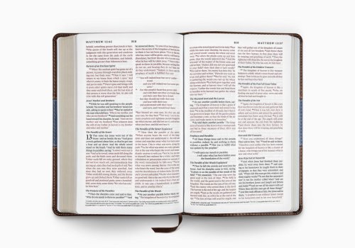ESV Thinline Bible: Chocolate & Blue, Paisley Design, Trutone