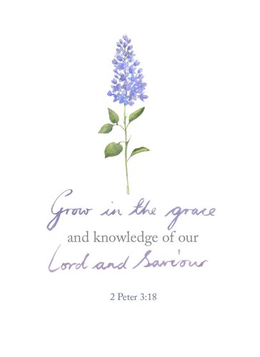 Grace Mini Notecard