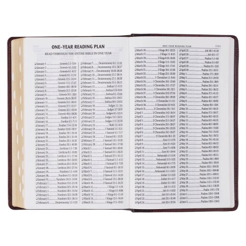 KJV Bible Giant Print Standard-size Full-grain Leather, Burgundy/Mahogany
