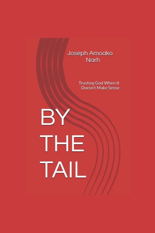 BY THE TAIL: Trusting God When It Doesn't Make Sense