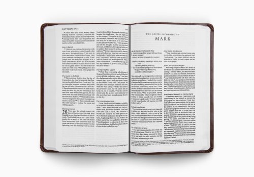 ESV Premium Gift Bible (TruTone, Brown)