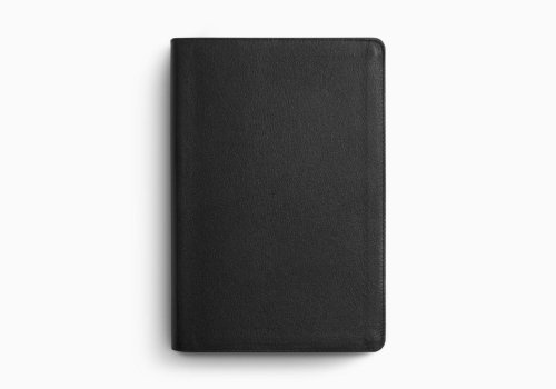 ESV Everyday Gospel Bible
