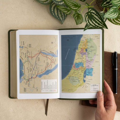 CSB Single-Column Personal Size Reference Bible, Olive