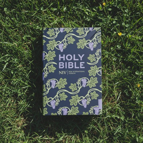 NIV Holy Bible, Purple, Paperback, Hodder Classic Design, Reading Plan, Anglicized Text, Topics Guide