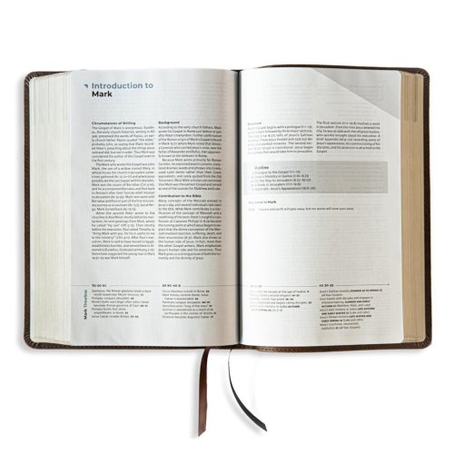 CSB Student Study Bible, Slate Hardcover