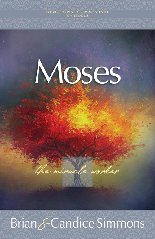 Moses the Miracle Worker