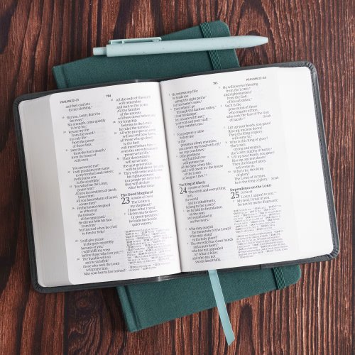 CSB Large Print Compact Reference Bible, Easy-to-Read Optimal Type, Digital Study Edition, Teal LeatherTouch