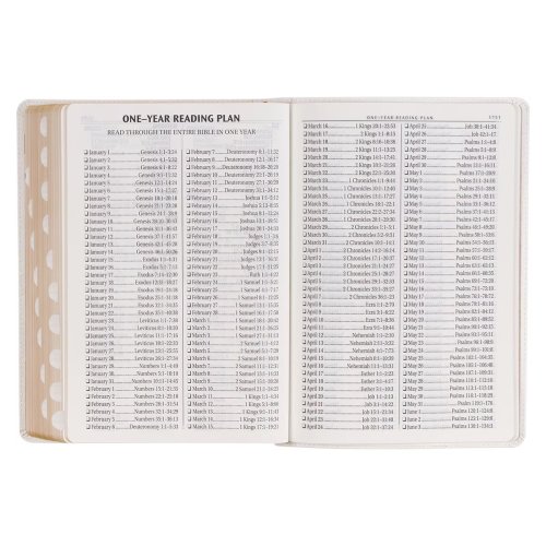 KJV Bible Super Giant Print Faux Leather, White