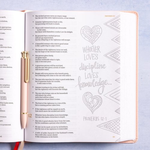 CSB Illustrator's Notetaking Bible, Large Print Edition