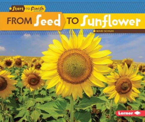 From Seed To Sunflower