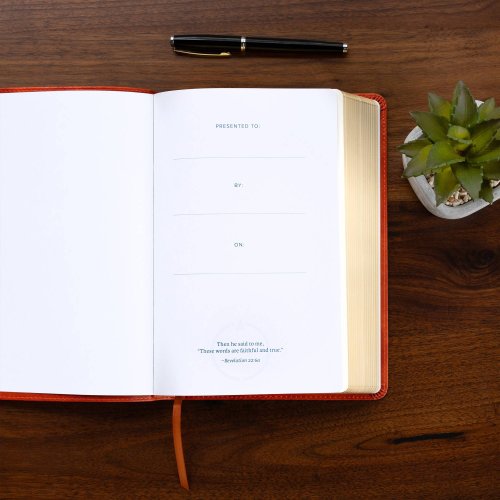 CSB Church Bible, Anglicised Edition, British Tan LeatherTouch