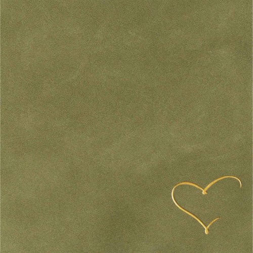 CSB Notetaking Bible, Revive Our Hearts Edition, Sage SuedeSoft LeatherTouch