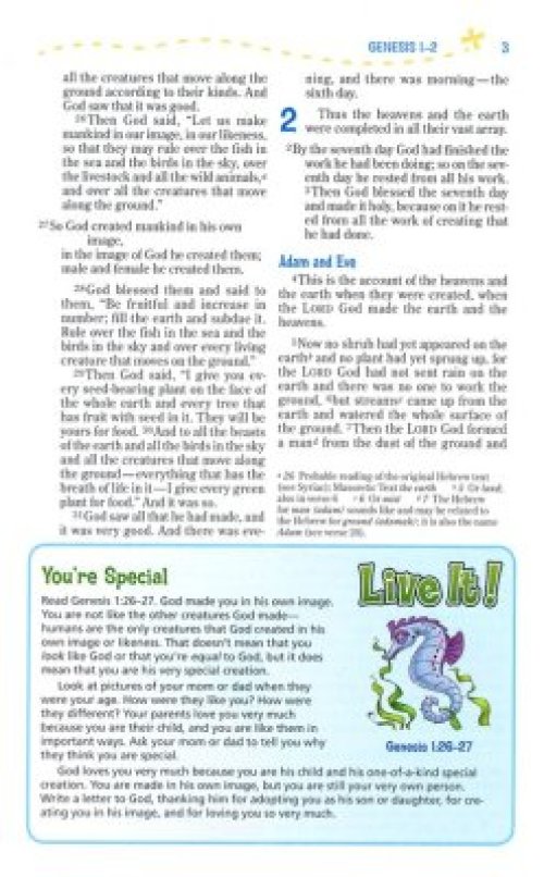 NIV, Adventure Bible, Imitation Leather, Pink, Full Color