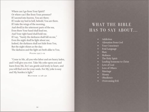 God's Promises for Graduates: Class of 2026 - Gold NIV