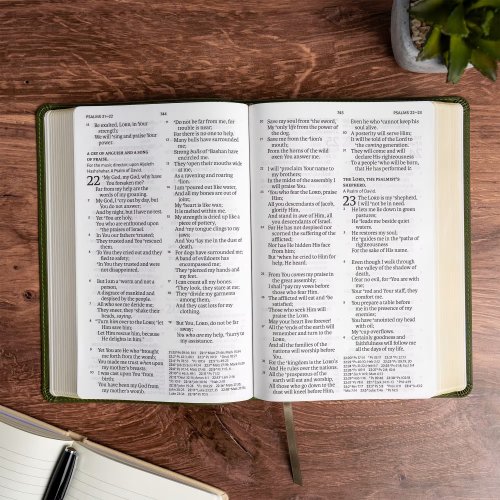 NASB Giant Print Reference Bible, Olive Leathertouch