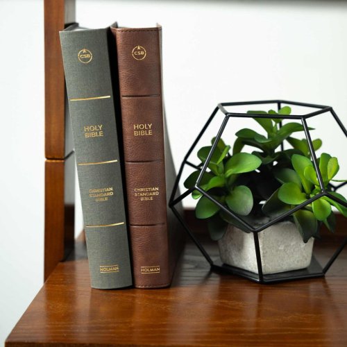 CSB Grace Bible, Charcoal Cloth Over Board (Dyslexia Friendly)